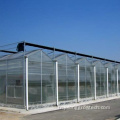 Hydroponics Agriculture Productive Agriculture Green Houses